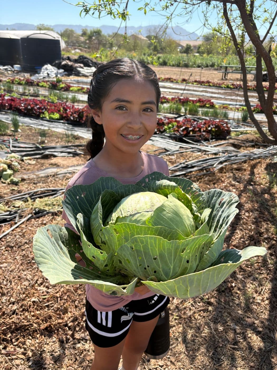 At the farm
